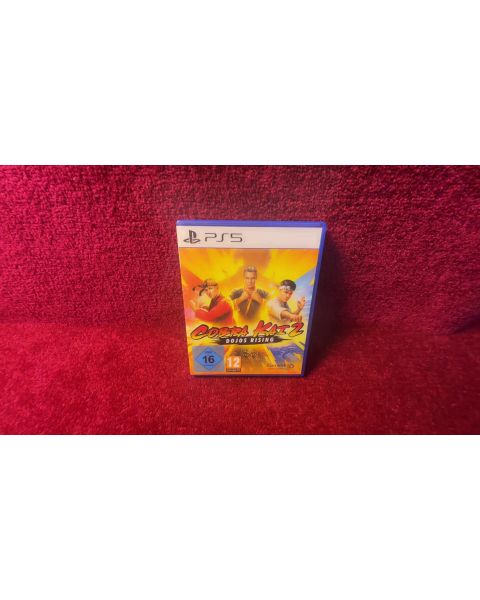Cobra Kai 2 Dojos Rising PS5