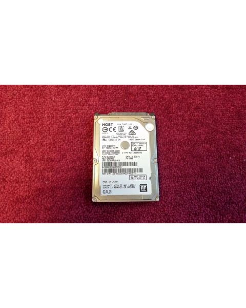 HGST 1TB HDD