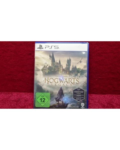 Hogwarts Legacy PS5