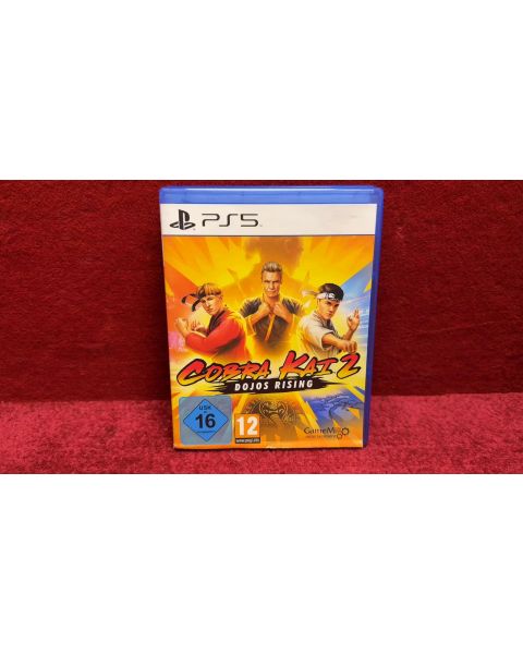 Cobra KAI 2 Dojos Rising